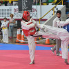 Más de 300 deportistas en el Open de Taekwondo del Príncipe Felipe.