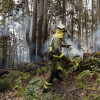Extinguen en A Caeira un incendio forestal