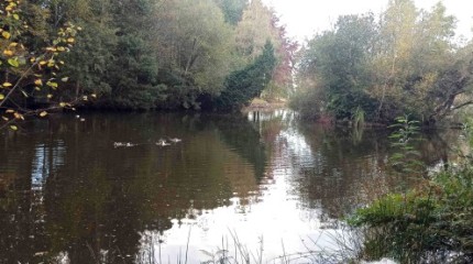 Lago de Castiñeiras