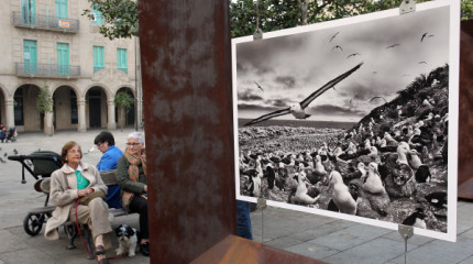 Sebastião Salgado amosa o seu "Génesis" nunha exposición que chega a Pontevedra