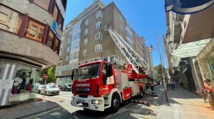 Los bomberos eliminan un nido de velutinas