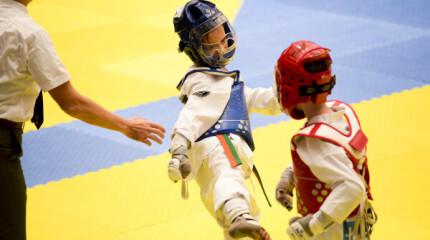 XXV edición do Campeonato Internacional Cidade de Pontevedra de Taekwondo no Municipal