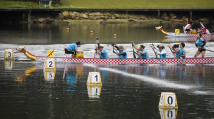 Galería de imaxes da Copa de España de Barco Dragón de Piragüismo