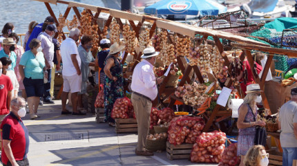 Sanxenxo presume de cebollas