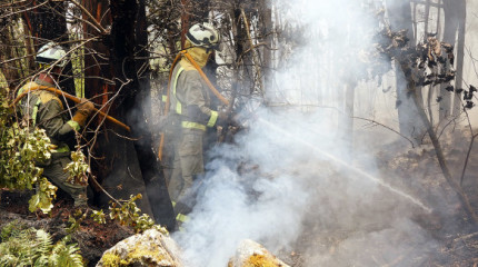 Extinguen en A Caeira un incendio forestal