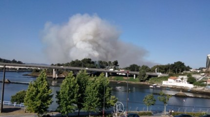 Incendio en el entorno de A Puntada en Poio