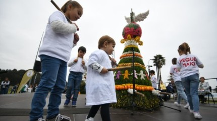 Os 'maios' regresan a Poio tras a paréntese da pandemia