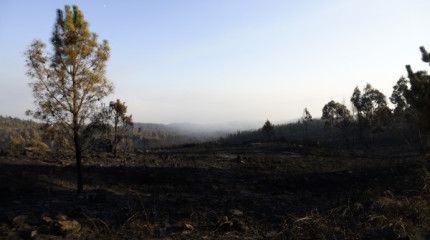 Terrenos devorados por el fuego en el monte de A Fracha