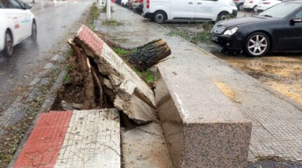 Incidencias del temporal