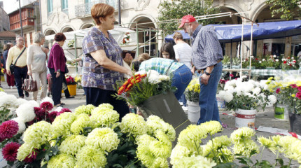 Mercado tradicional de flores en A Ferraría
