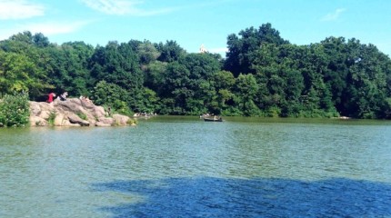 Retallos de mundo: Central Park, Manhattan, Nova York