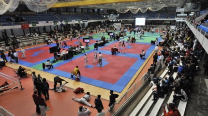 XVI Open Internacional de taekwondo Cidade de Pontevedra