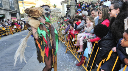Desfile de Carnaval 2014 en Pontevedra