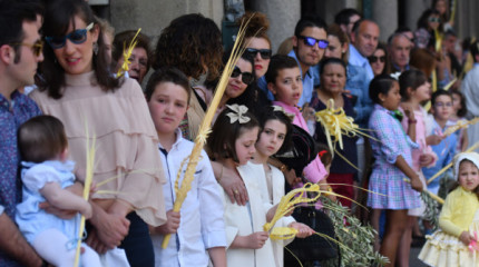 Milleiros de palmas e ramos reciben á 'Borriquita' en Pontevedra