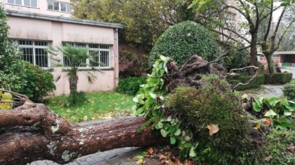 Incidencias pola borrasca 'Béatrice' en Pontevedra