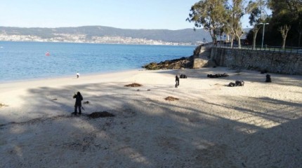 Limpieza de las playas y de las vías de acceso a los arenales de Marín