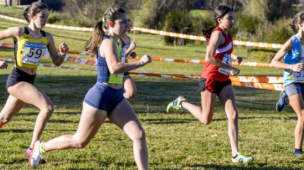 Galería de imágenes del Campeonato Gallego de Campo a Través en la Illa das Esculturas