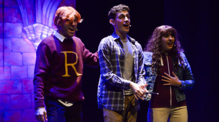 A maxia de Harry Potter chega a Pontevedra en formato musical