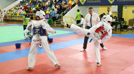  Open Cidade do Lérez de Taekwondo