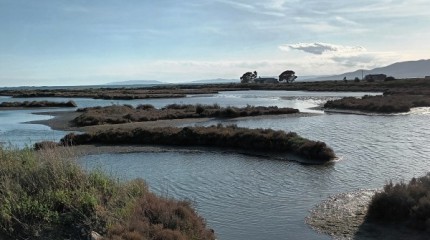 Retallos de mundo: O delta do río Ebro