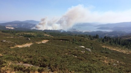 Incendio en O Rañadoiro y Acevedo en la parroquia de Ponte Sampaio