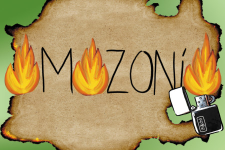 Incendios no Amazonas